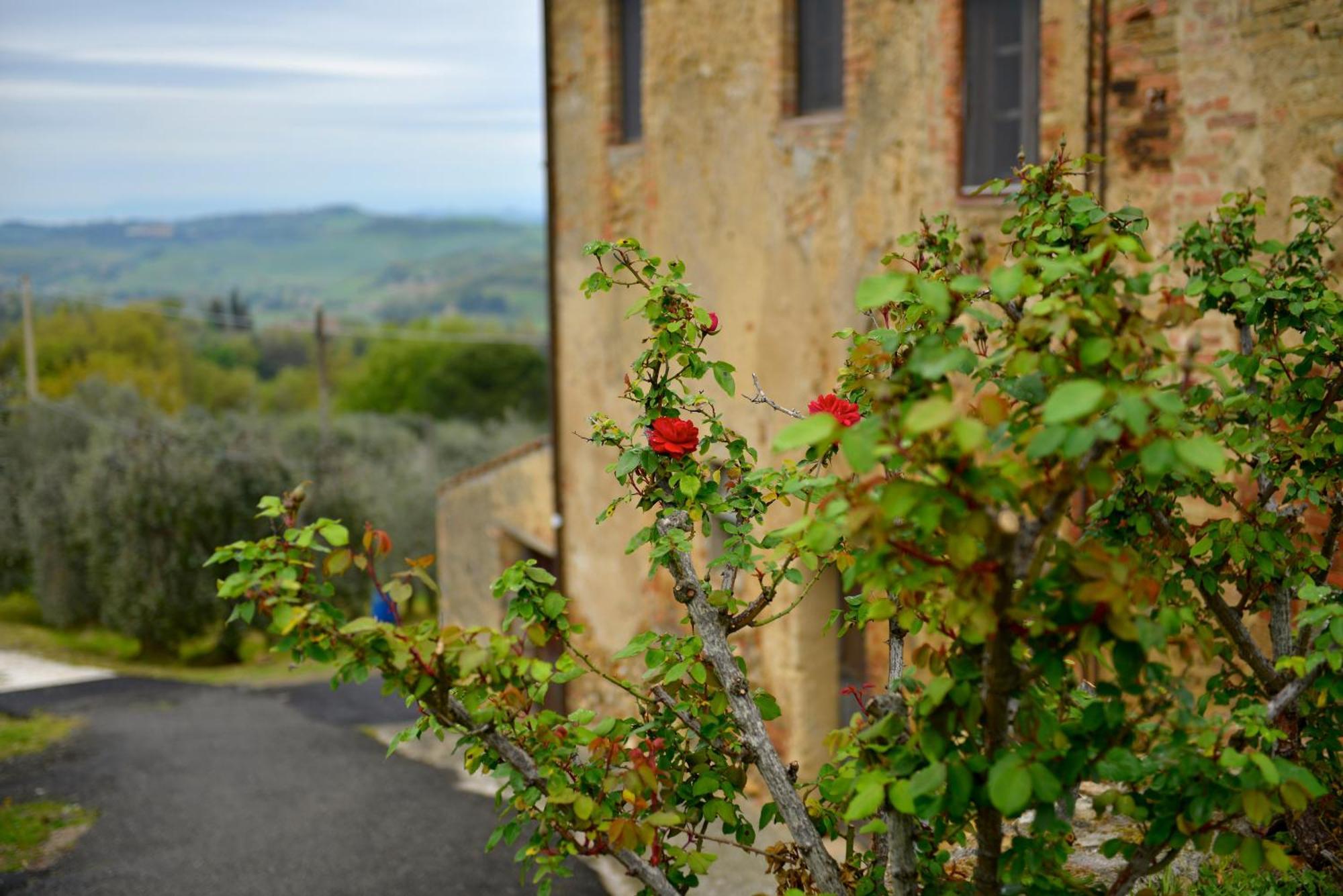 Casa Zeno Leilighet Volterra Eksteriør bilde